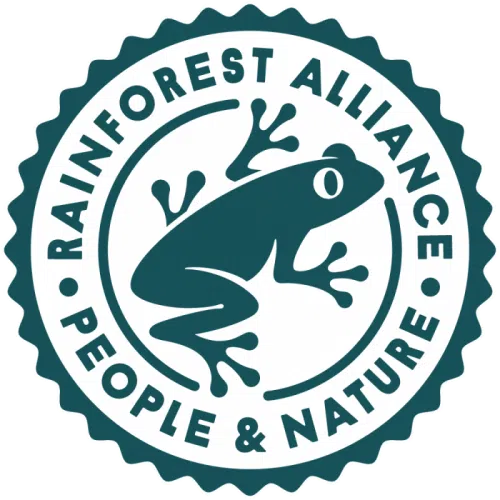 Logotipo Rain Forest